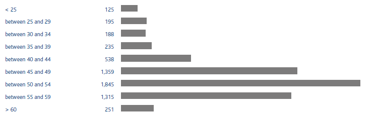 Employees by age bracket (bar chart)