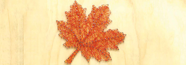 Chapter entry image – Sustainability in the Network (Image)