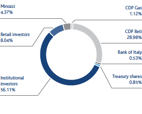 Composition of shareholder structure (pie chart)
