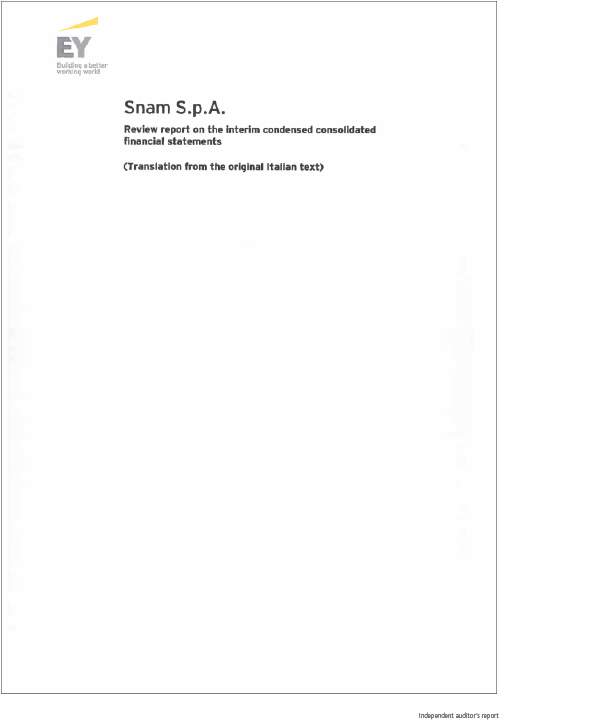 Auditors report (document)