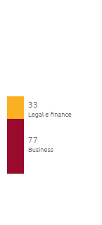 Expertise by competence areas (%) (Bar chart)