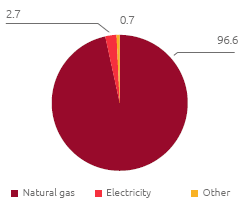 Energy consumption by source (%) (Pie chart)