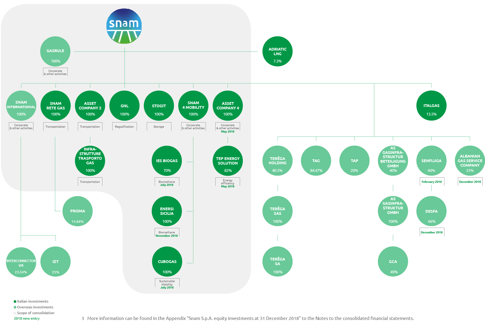 Group structure (graphic)