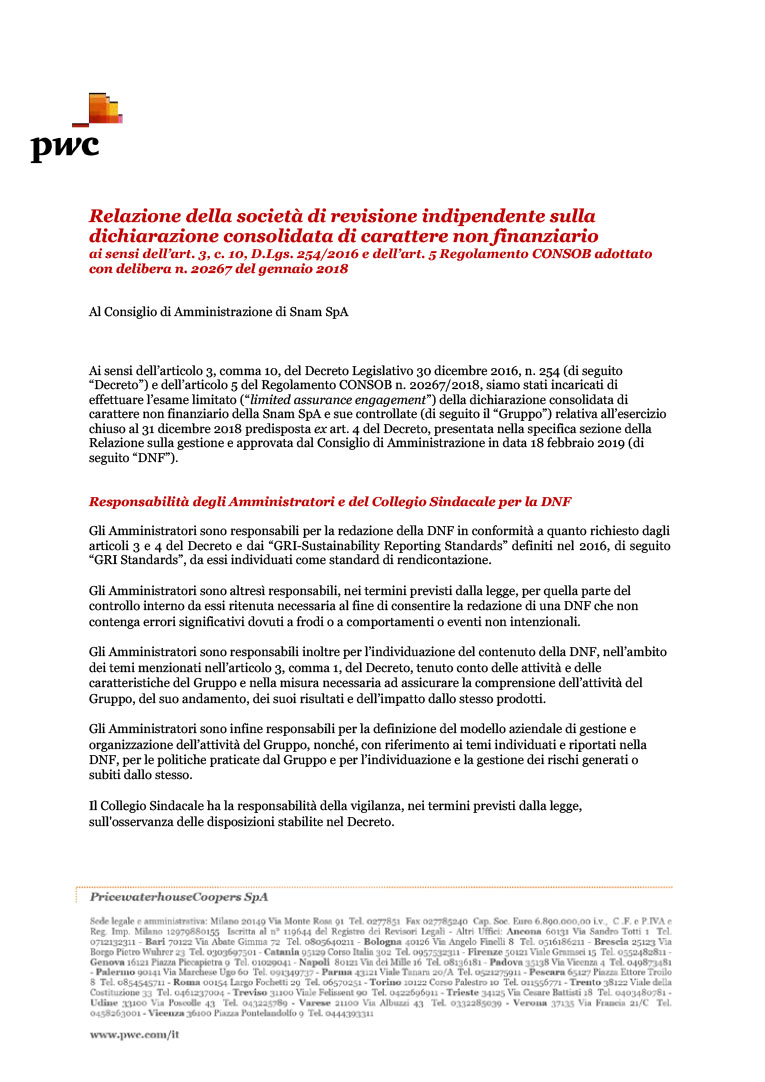 Relazione della Società di revisione (page)