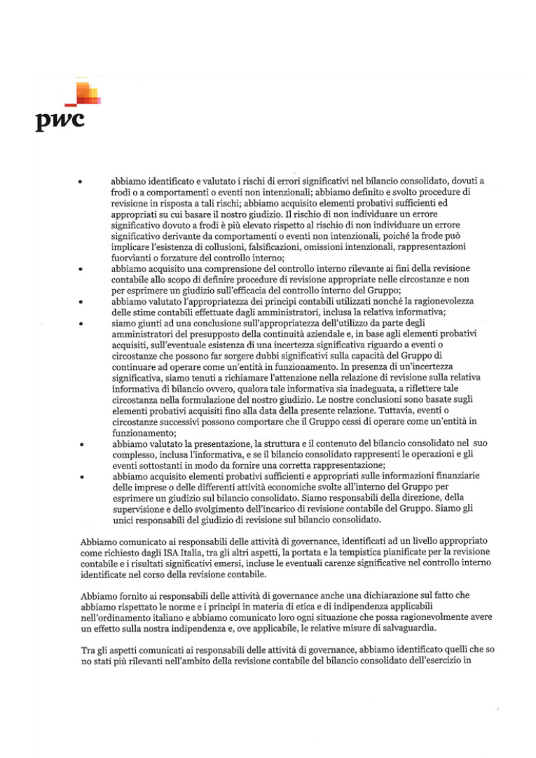 Relazione della Società di revisione (page)