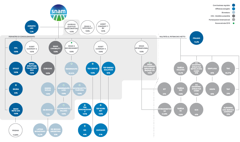 Structure of the Group at 31 December 2019 (graphic)
