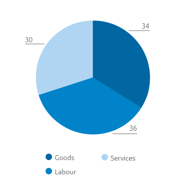Procurement by goods type (pie chart)
