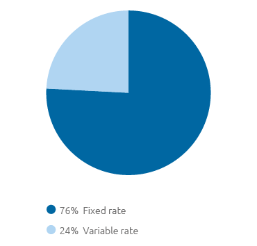 Debt management – Breakdown by rate (pie chart)