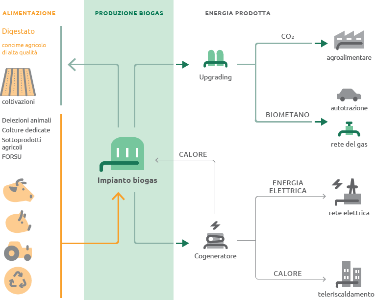 Ciclo produttivo del biometano (Grafico)