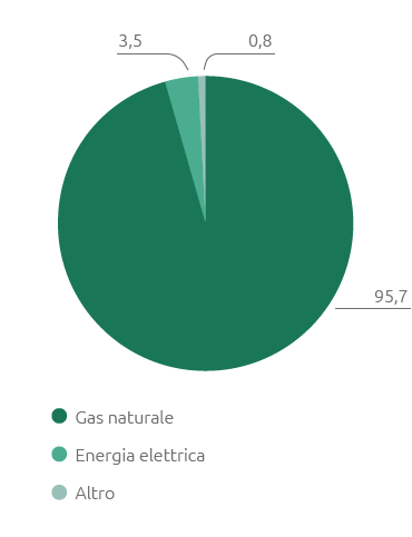 Consumi energetici per fonte di utilizzo (%) (Grafico a torta)