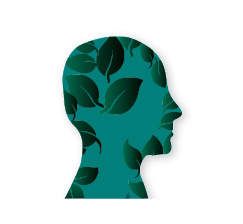 Icon head (Icon)