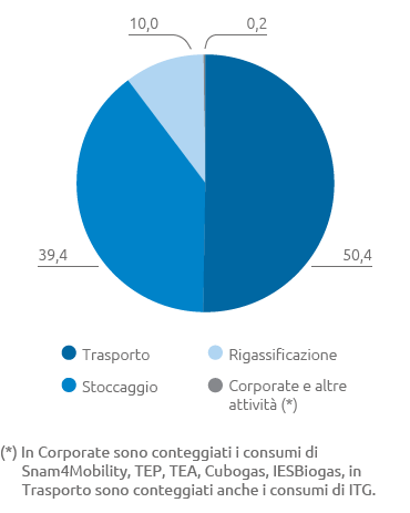 Consumi energetici per settore di attività (pie chart)