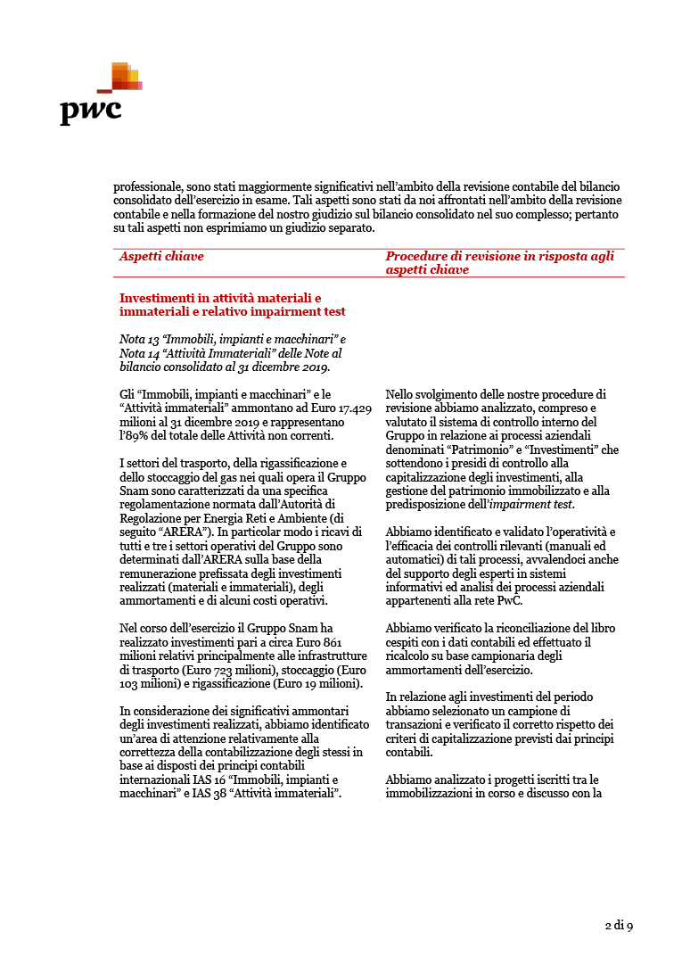 Relazione della Società di revisione (page)