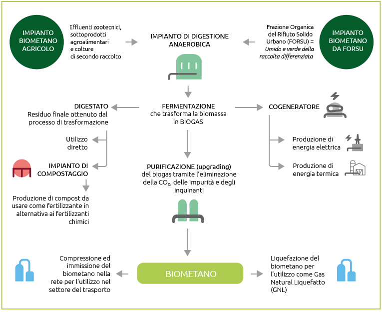 Impianto biometano agricolo e da FORSU (Grafico)